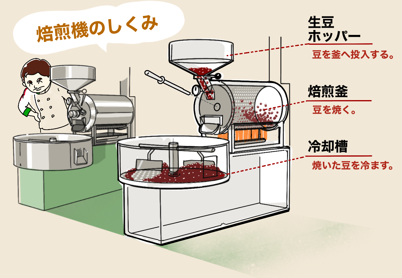 最大500g 電動コーヒー焙煎機　半熱風式コンロ温度計は付属しません