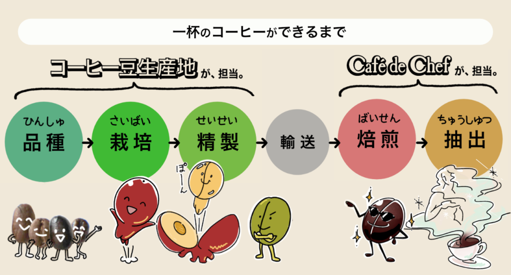 【コーヒー豆】産地の違いは、香味の違い。個性の決め手はここにあり！ 【 本格焙煎コーヒー専門店】カフェ・ド・シェフ